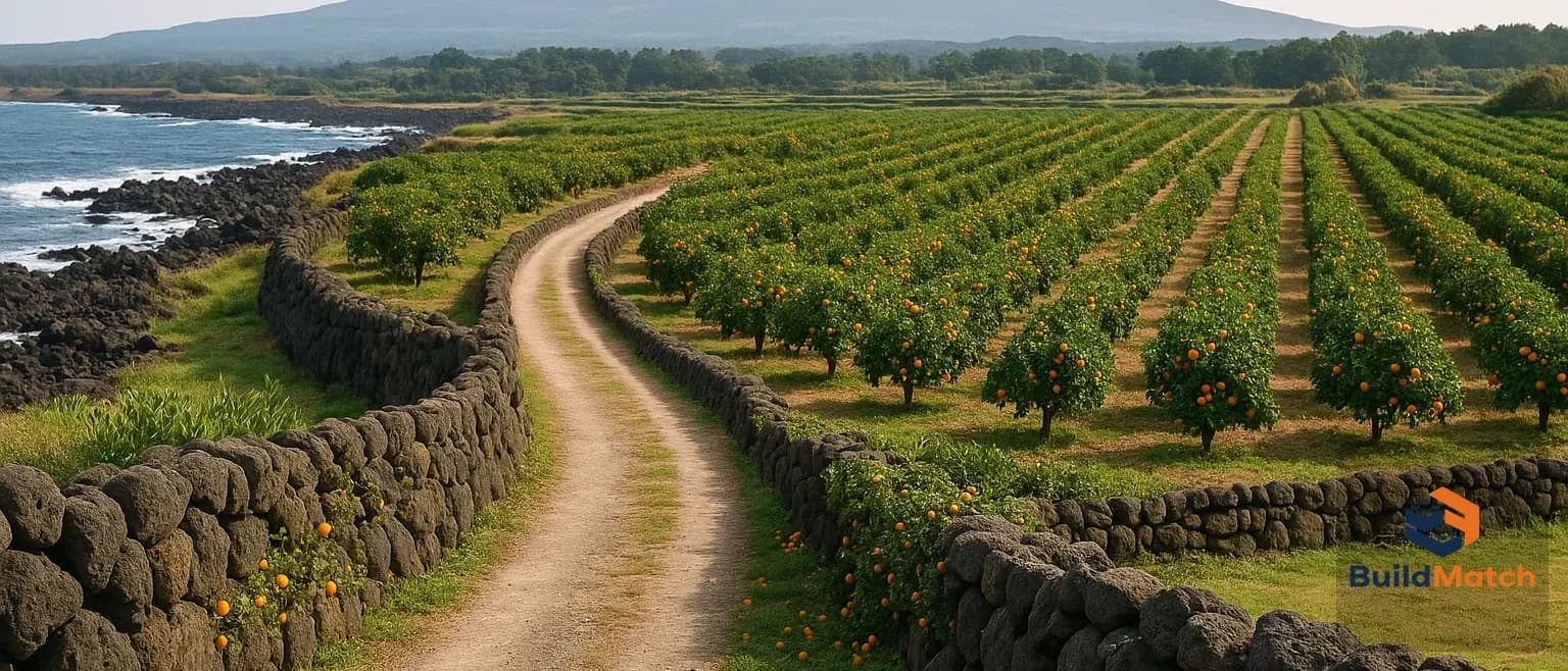 제주 건축 현장 진입로와 장비 반입: 놓치면 비용 오르는 이유